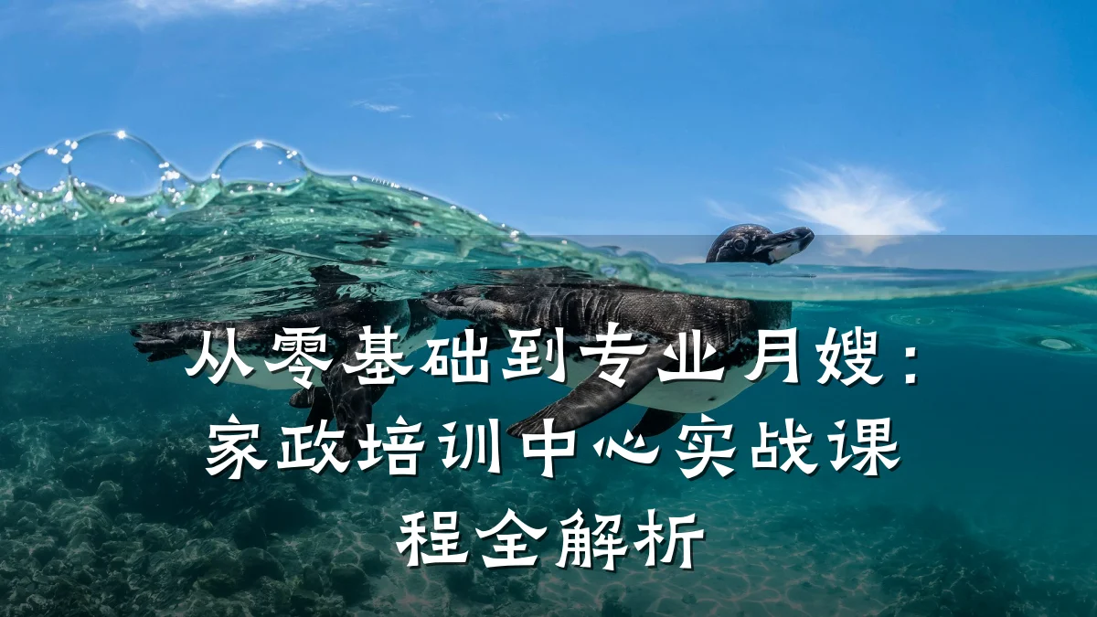 从零基础到专业月嫂：家政培训中心实战课程全解析