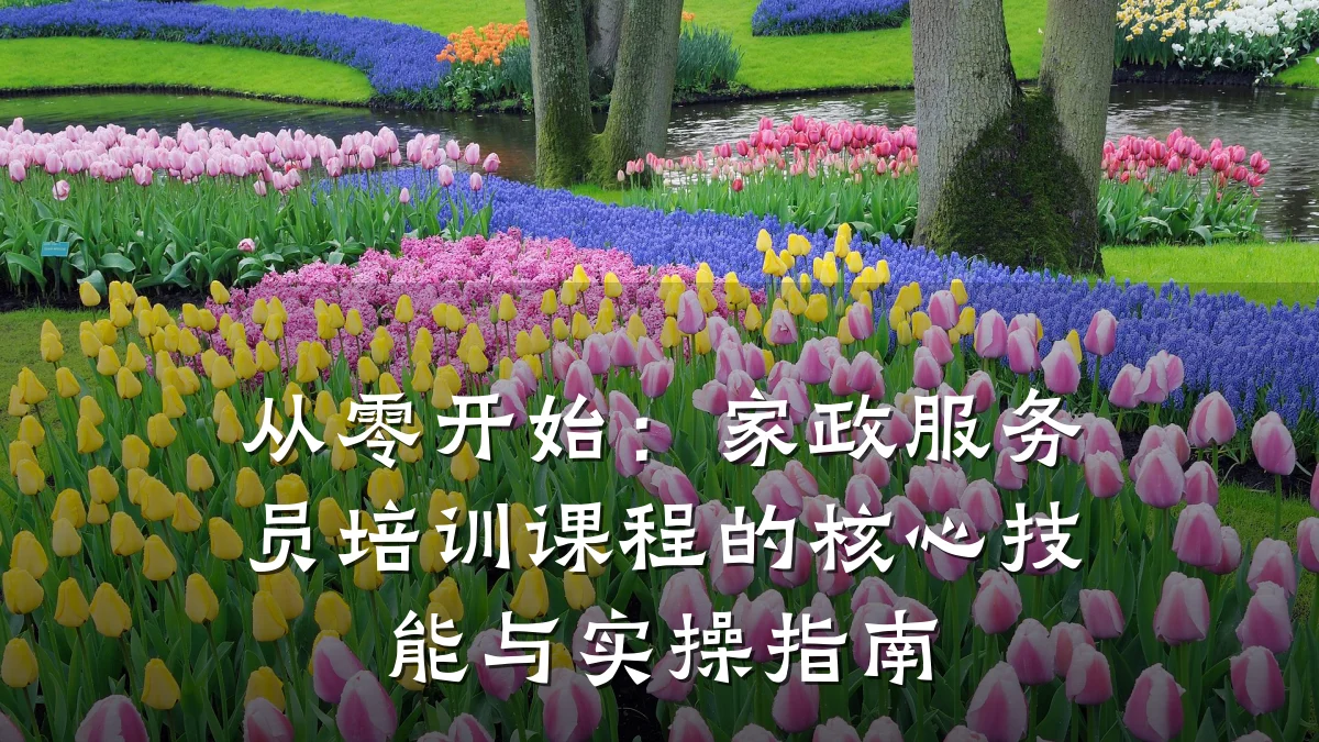 从零开始：家政服务员培训课程的核心技能与实操指南