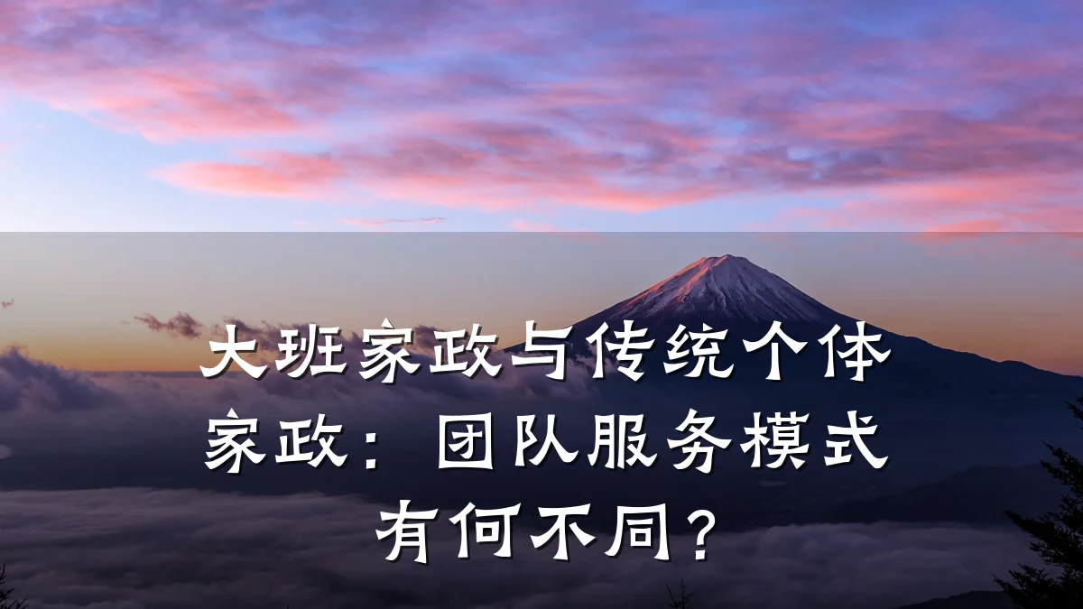 大班家政与传统个体家政:团队服务模式有何不同?