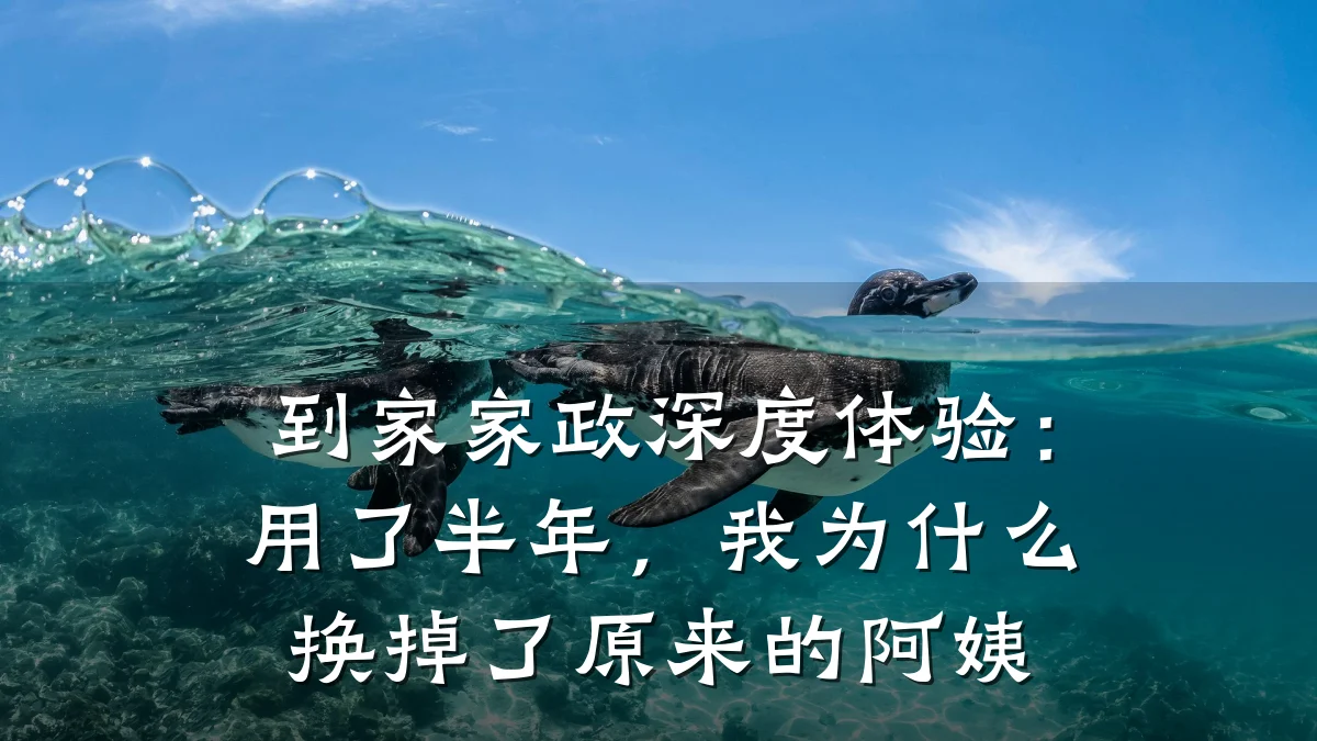 到家家政深度体验:用了半年,我为什么换掉了原来的阿姨