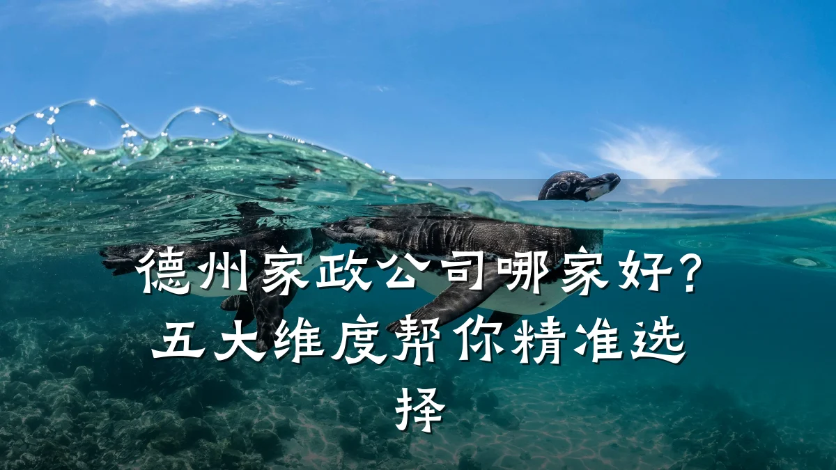 德州家政公司哪家好?五大维度帮你精准选择