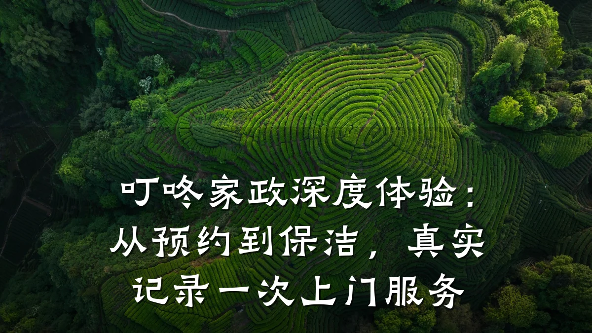 叮咚家政深度体验:从预约到保洁,真实记录一次上门服务