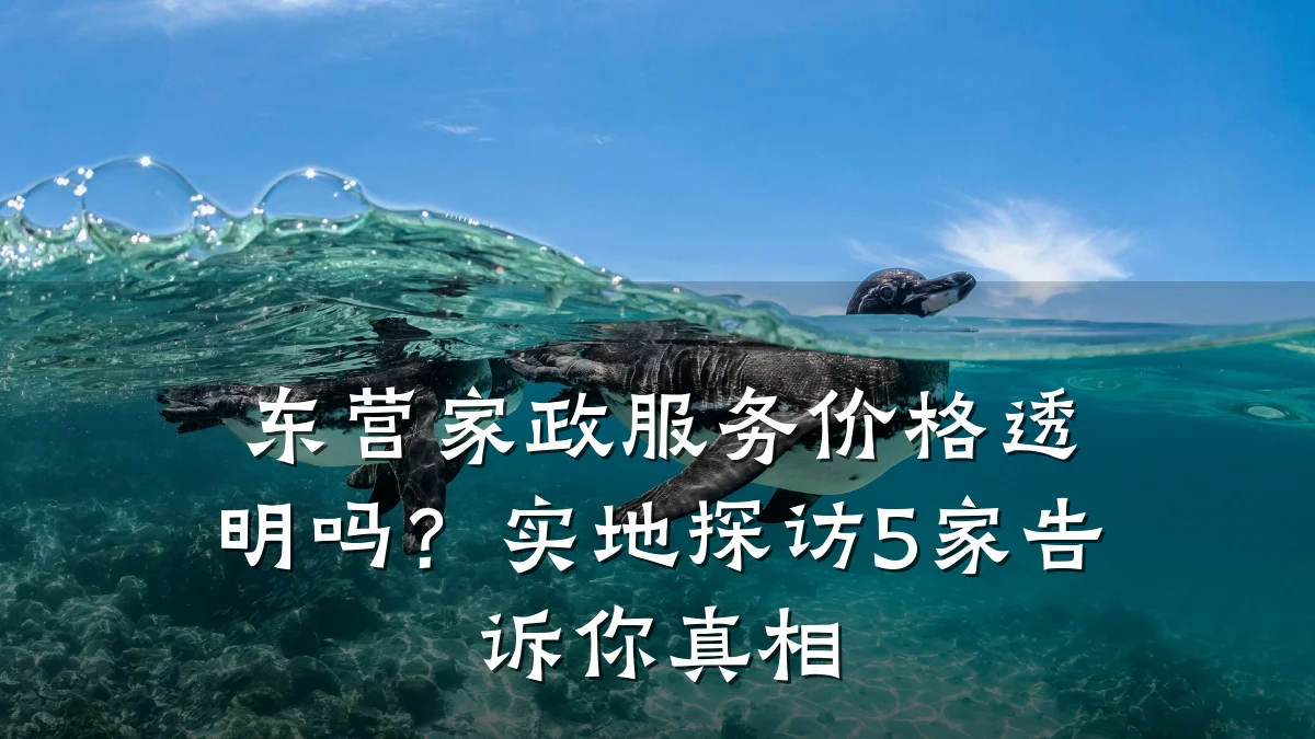 东营家政服务价格透明吗?实地探访5家告诉你真相