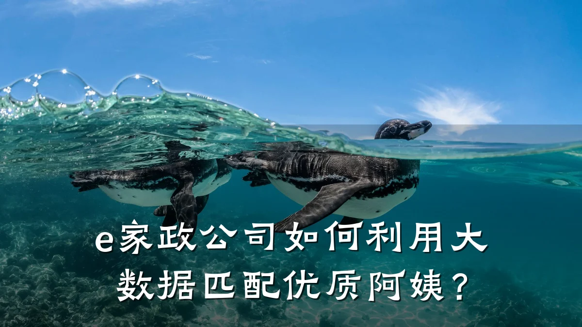 e家政公司如何利用大数据匹配优质阿姨?
