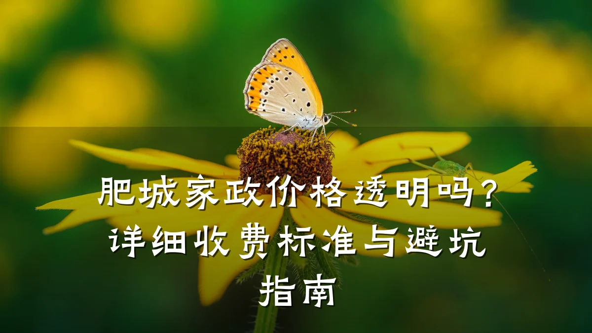 肥城家政价格透明吗?详细收费标准与避坑指南
