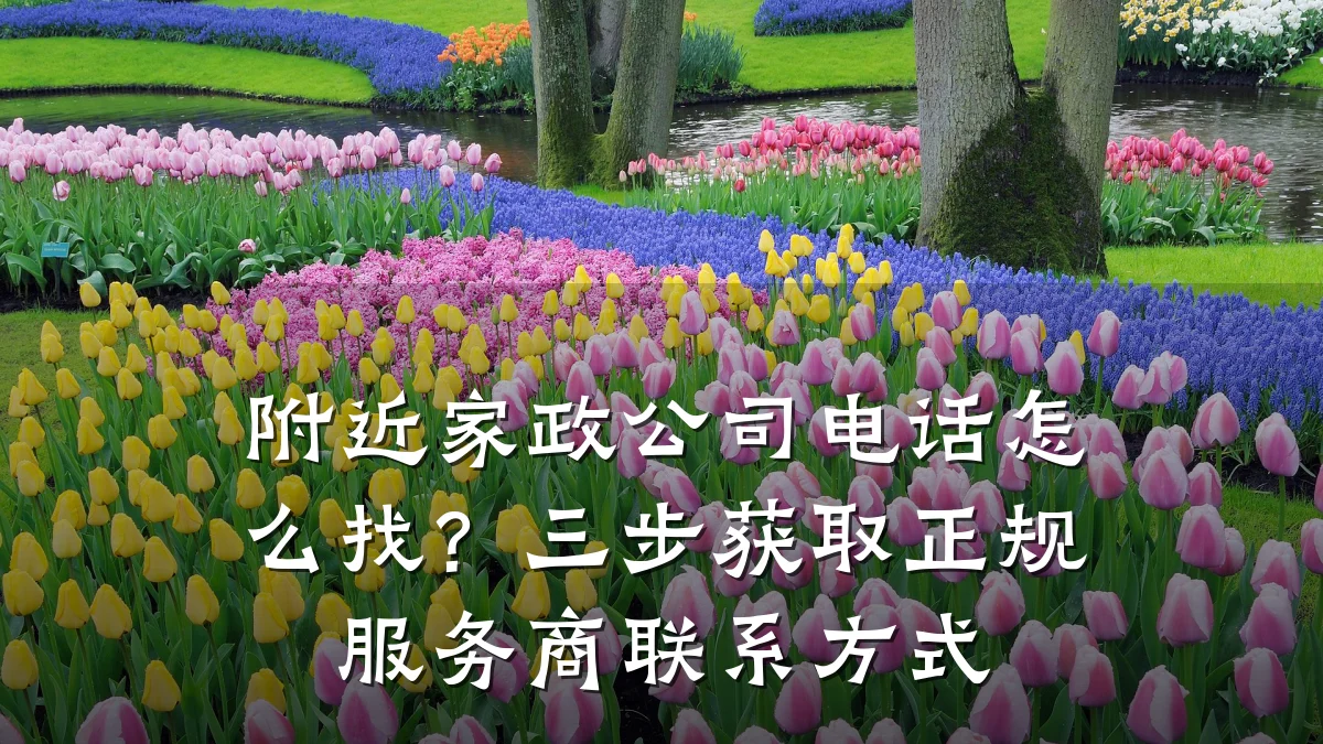 附近家政公司电话怎么找?三步获取正规服务商联系方式