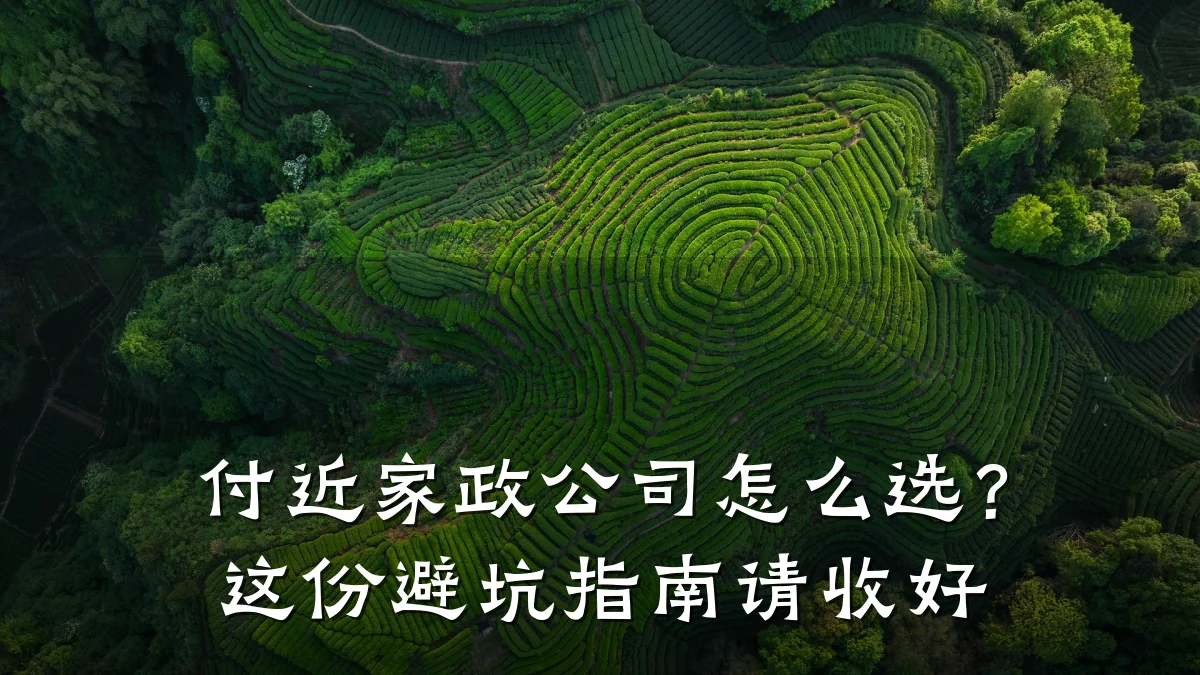 付近家政公司怎么选?这份避坑指南请收好