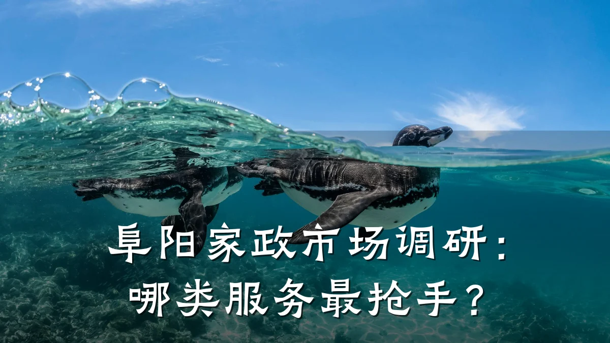 阜阳家政市场调研：哪类服务最抢手？