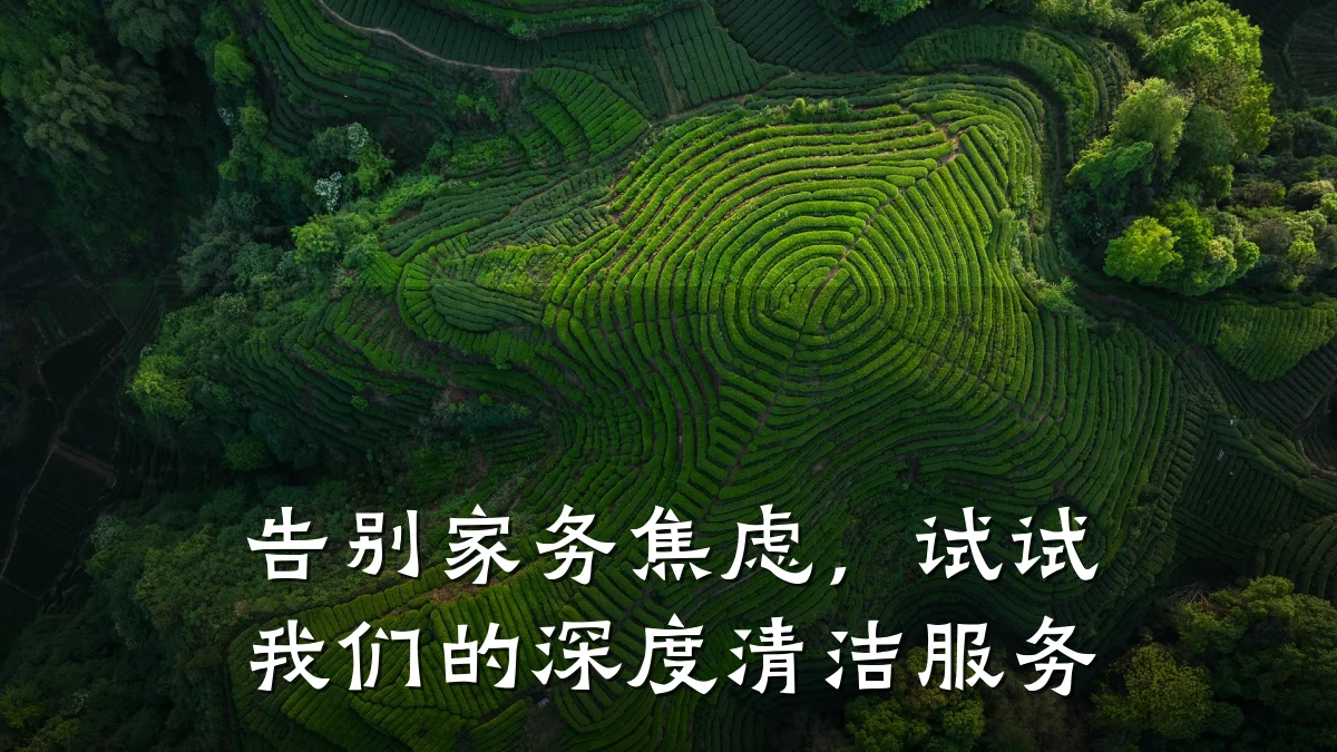 告别家务焦虑，试试我们的深度清洁服务