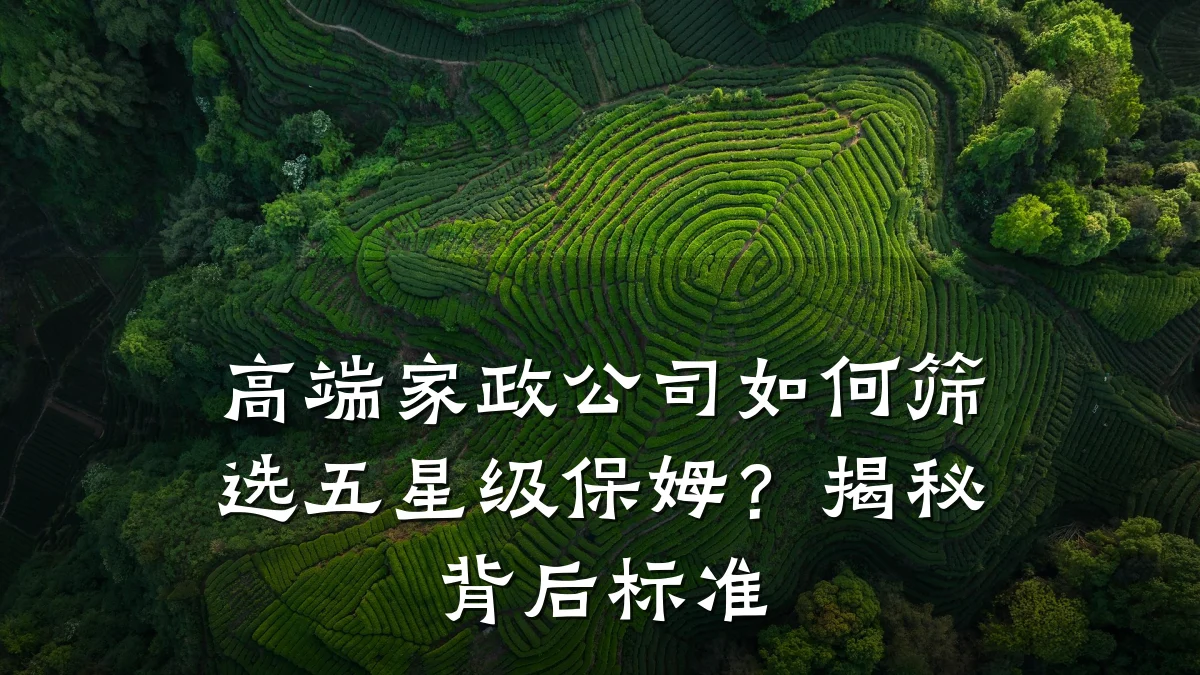 高端家政公司如何筛选五星级保姆?揭秘背后标准