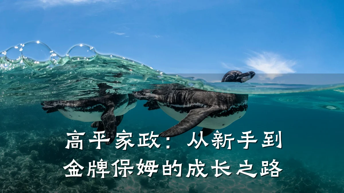 高平家政:从新手到金牌保姆的成长之路