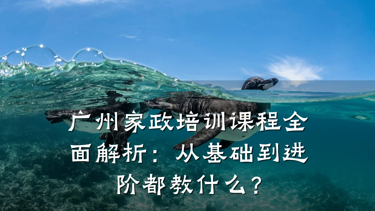 广州家政培训课程全面解析：从基础到进阶都教什么？