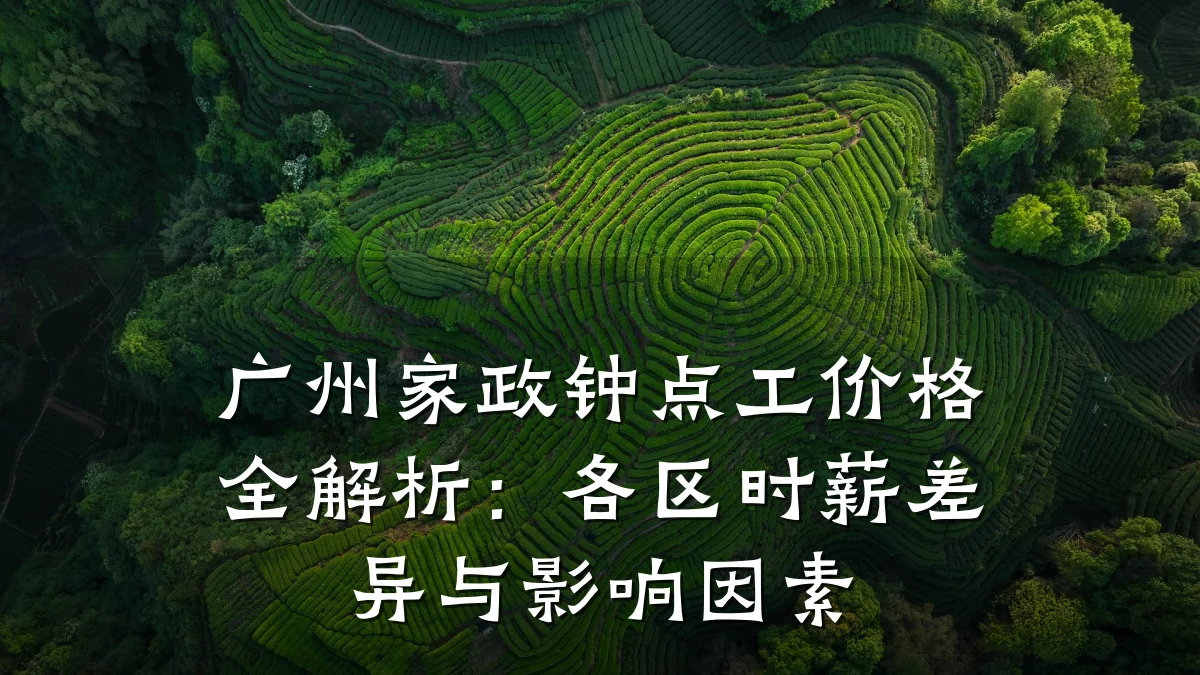 广州家政钟点工价格全解析：各区时薪差异与影响因素