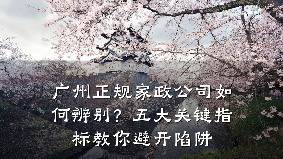 广州正规家政公司如何辨别?五大关键指标教你避开陷阱