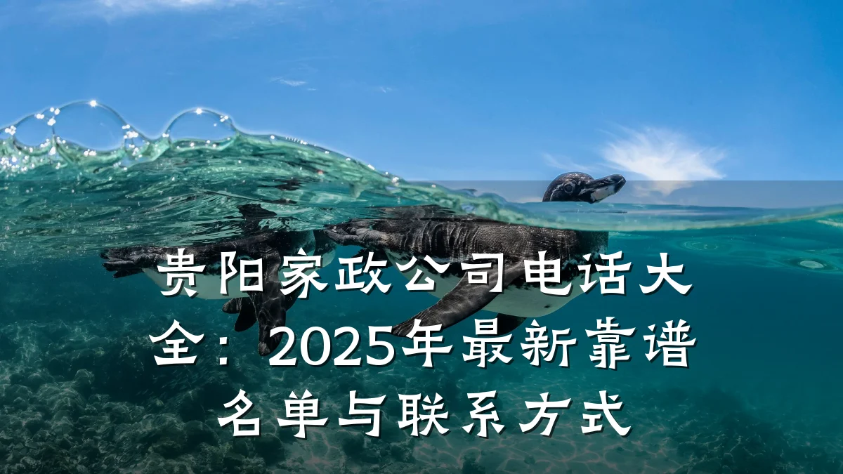 贵阳家政公司电话大全:2025年最新靠谱名单与联系方式