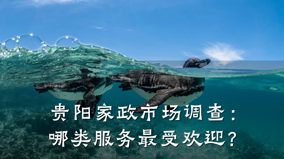 贵阳家政市场调查：哪类服务最受欢迎？
