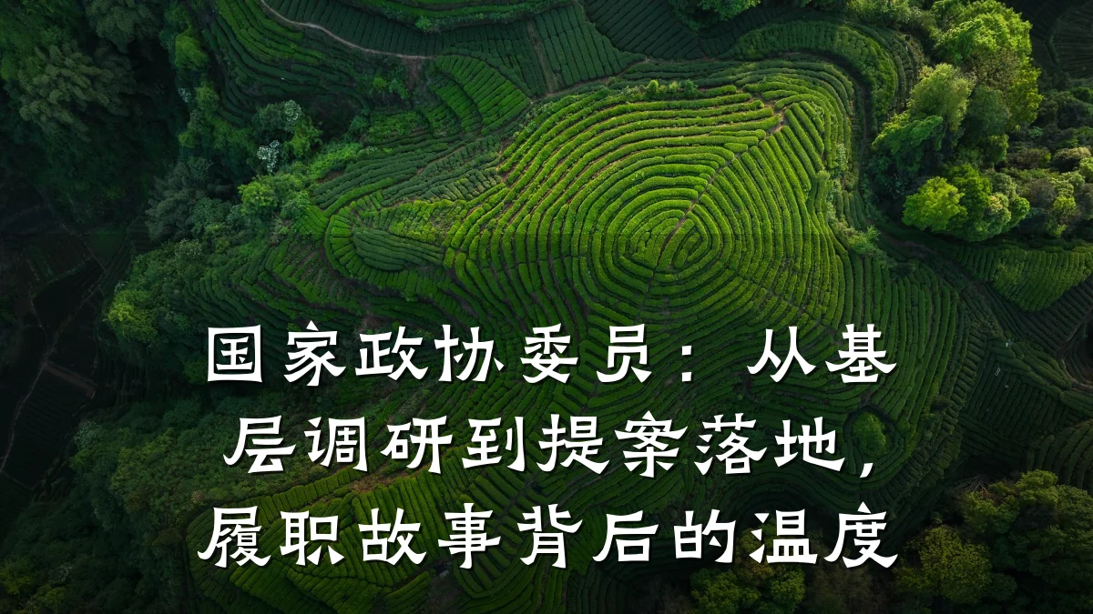 国家政协委员:从基层调研到提案落地,履职故事背后的温度