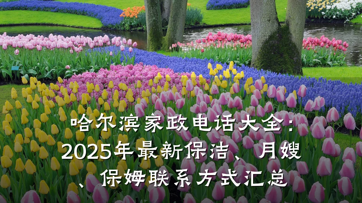 哈尔滨家政电话大全:2025年最新保洁、月嫂、保姆联系方式汇总