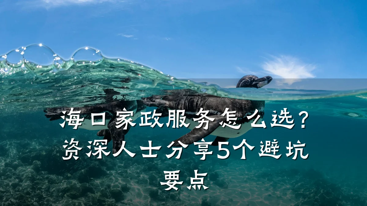海口家政服务怎么选?资深人士分享5个避坑要点
