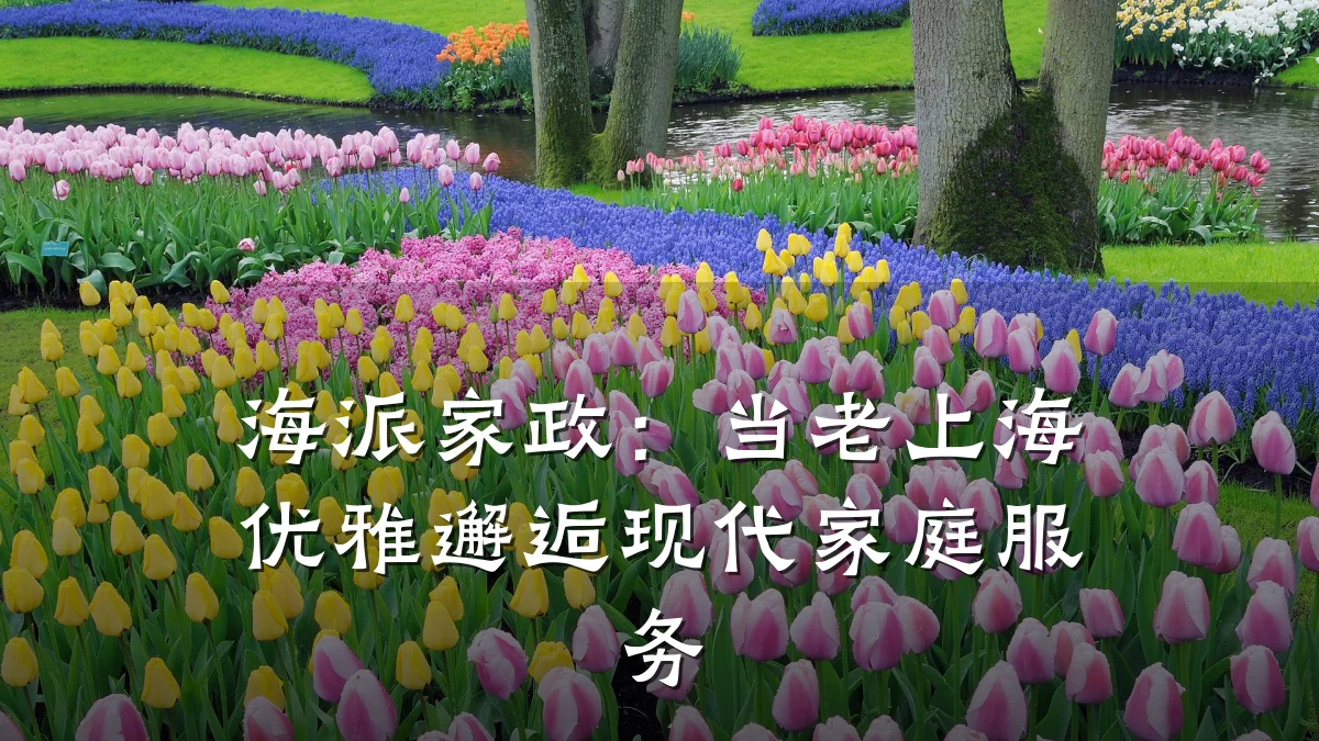 海派家政:当老上海优雅邂逅现代家庭服务