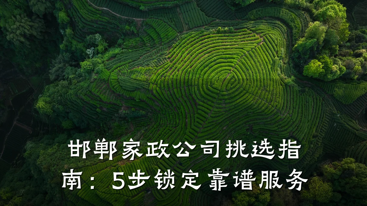 邯郸家政公司挑选指南:5步锁定靠谱服务