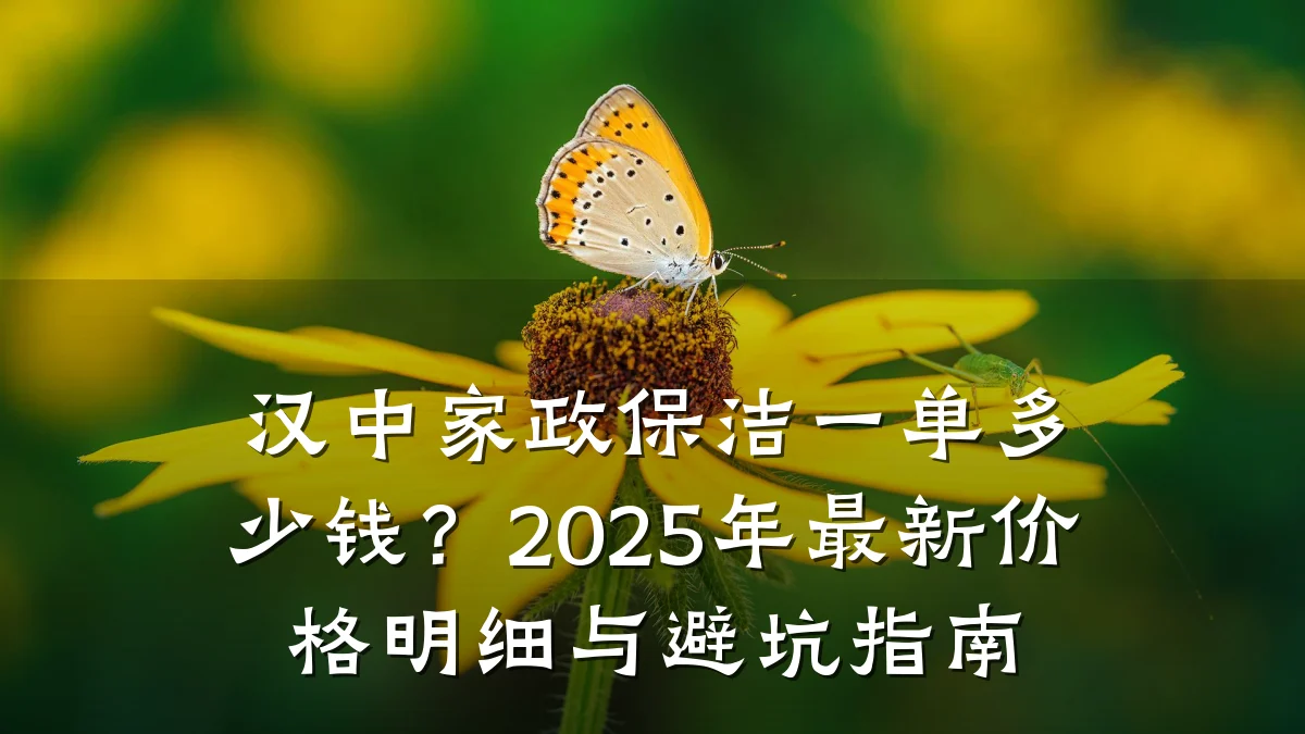 汉中家政保洁一单多少钱？2025年最新价格明细与避坑指南