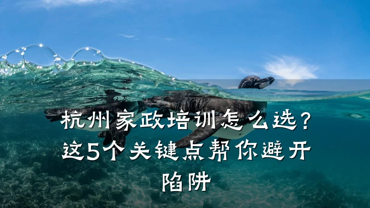 杭州家政培训怎么选？这5个关键点帮你避开陷阱