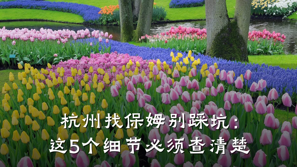 杭州找保姆别踩坑:这5个细节必须查清楚