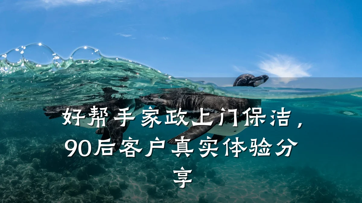 好帮手家政上门保洁,90后客户真实体验分享