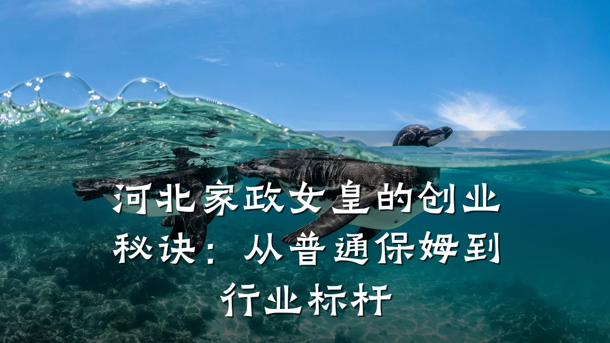 河北家政女皇的创业秘诀:从普通保姆到行业标杆