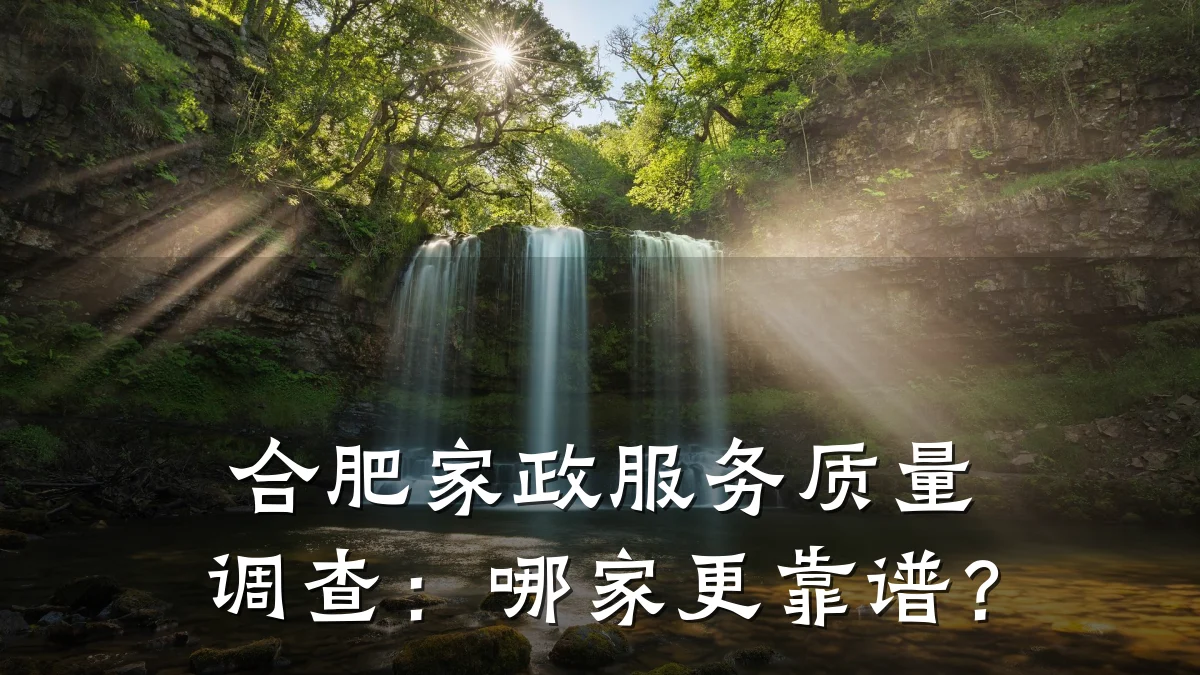 合肥家政服务质量调查：哪家更靠谱？