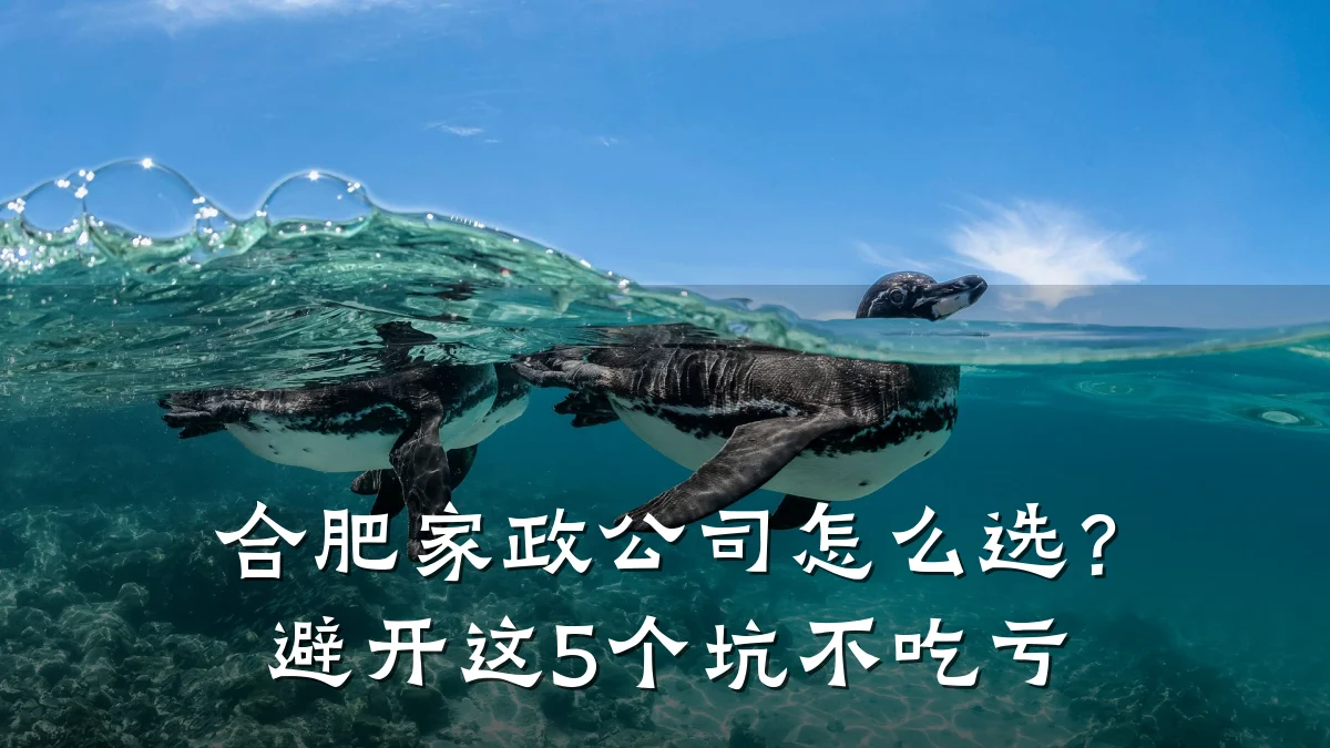 合肥家政公司怎么选?避开这5个坑不吃亏