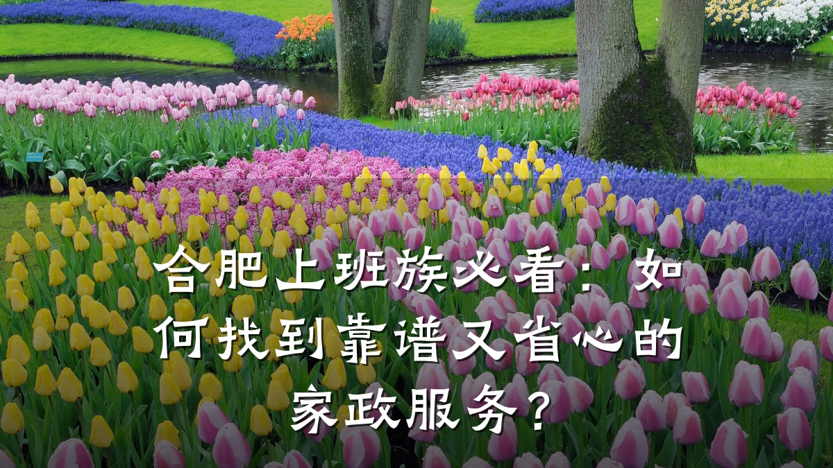 合肥上班族必看:如何找到靠谱又省心的家政服务?