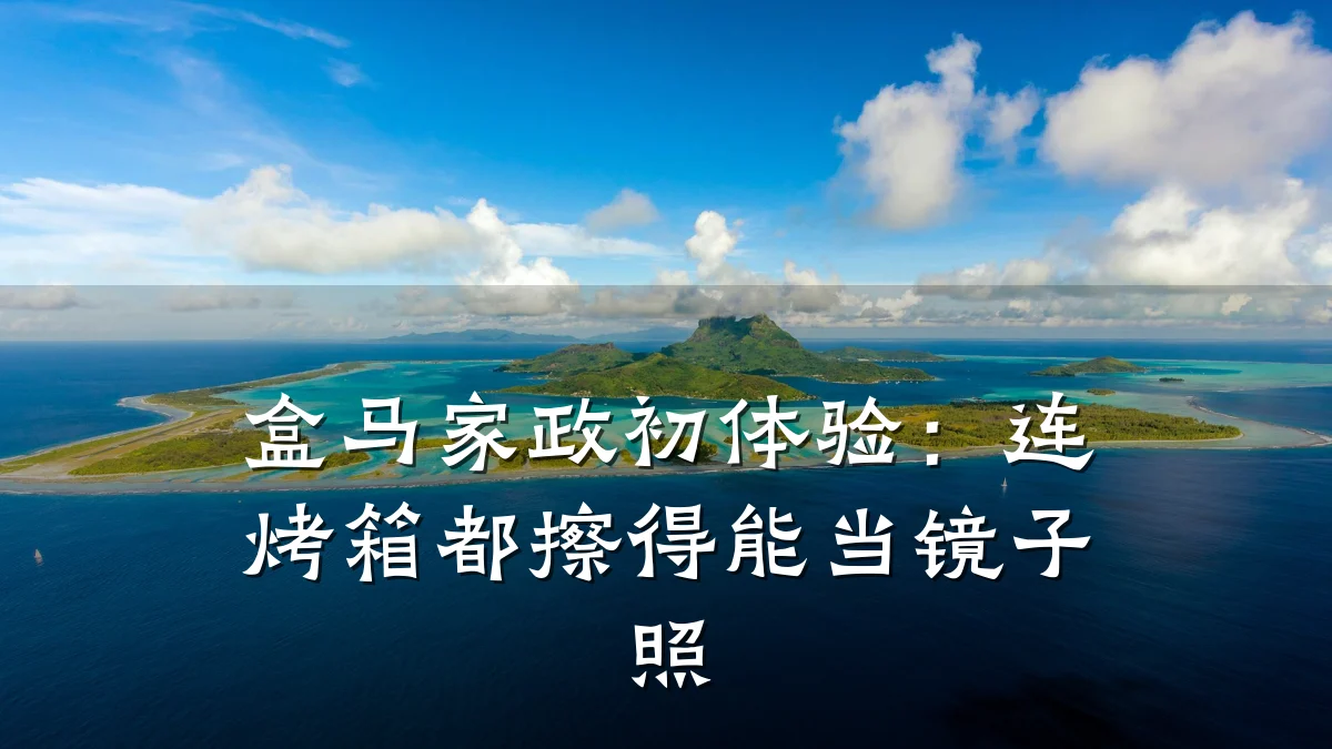 盒马家政初体验：连烤箱都擦得能当镜子照