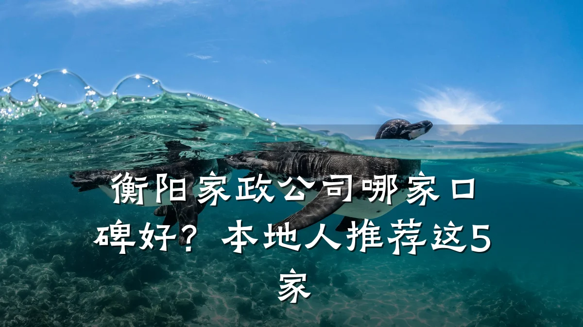 衡阳家政公司哪家口碑好?本地人推荐这5家