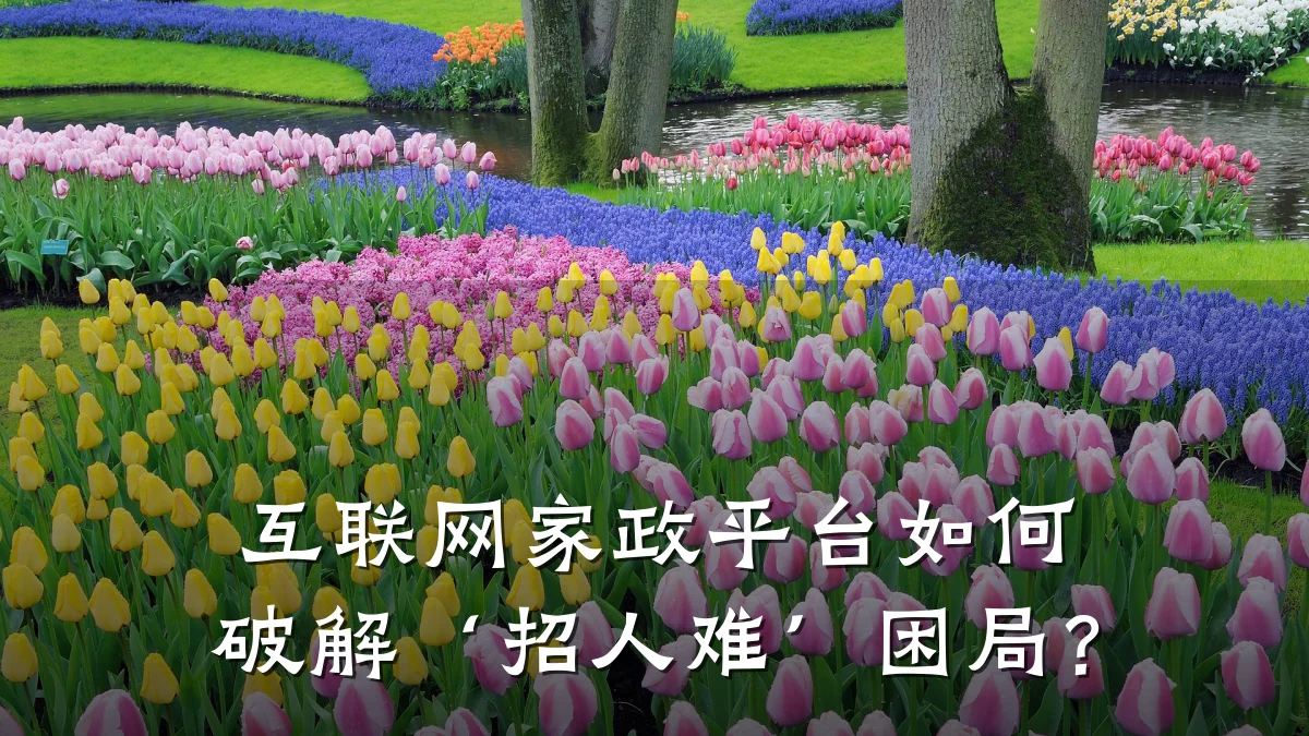 互联网家政平台如何破解‘招人难’困局?