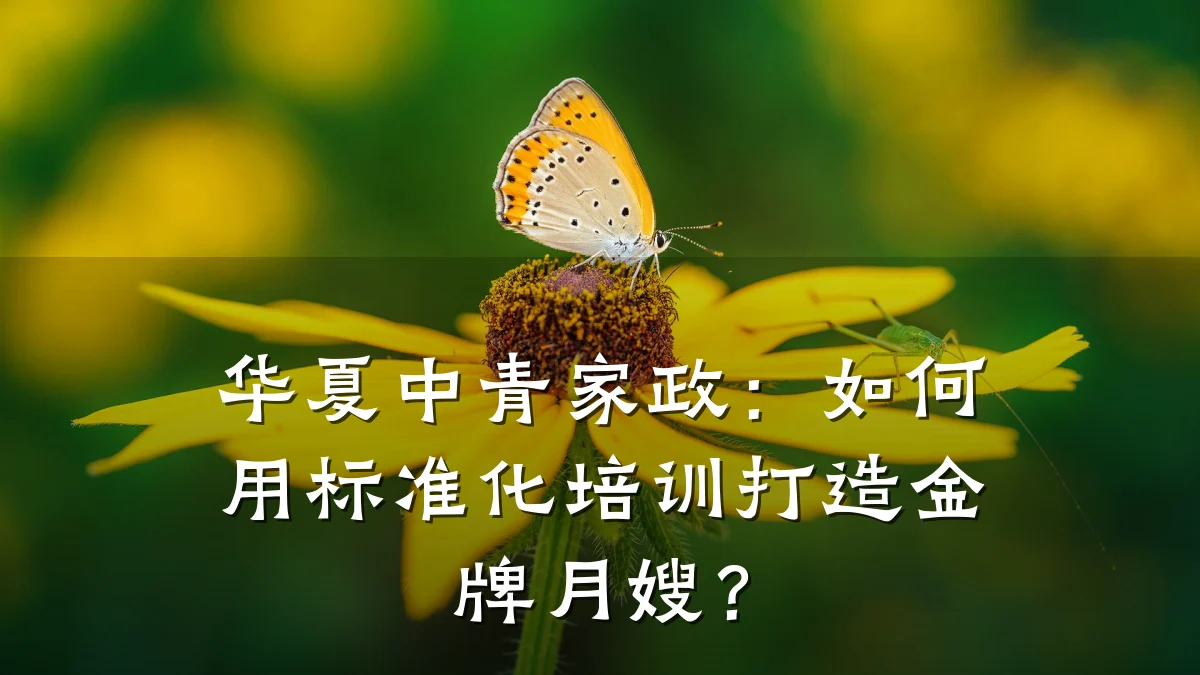 华夏中青家政：如何用标准化培训打造金牌月嫂？