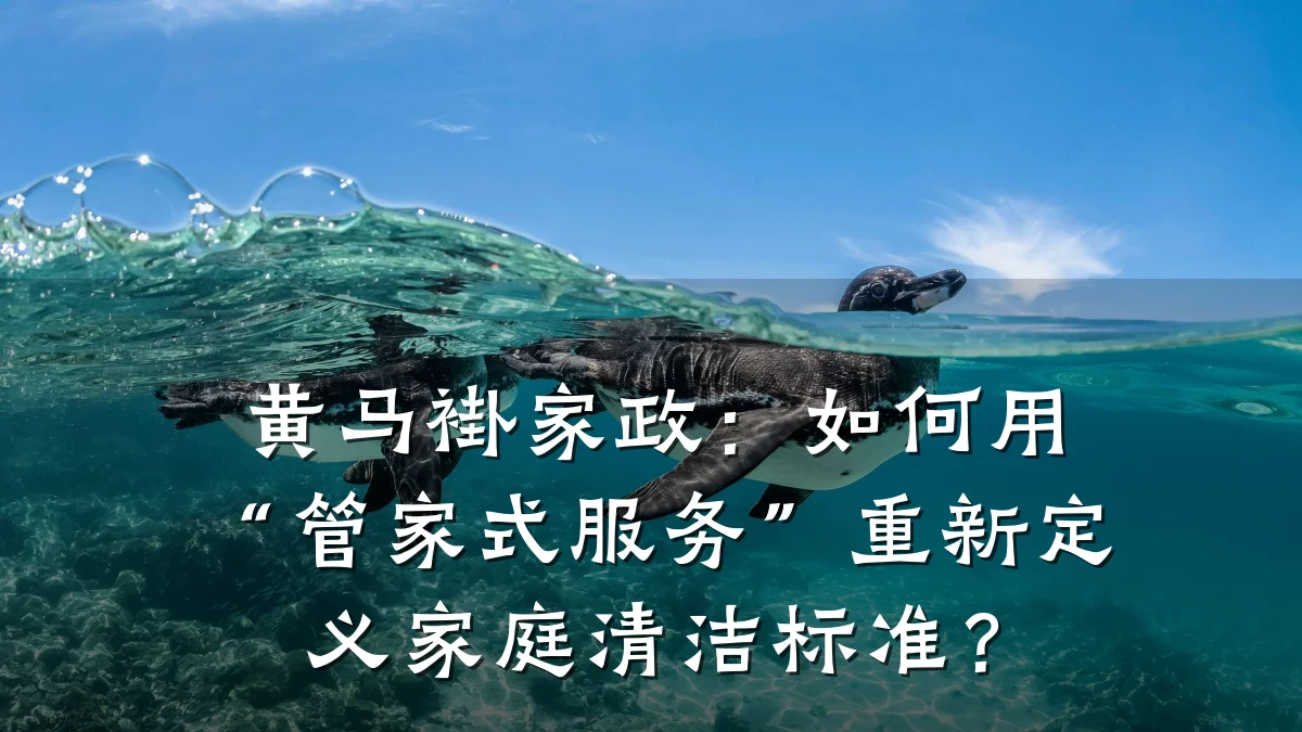 黄马褂家政：如何用“管家式服务”重新定义家庭清洁标准？