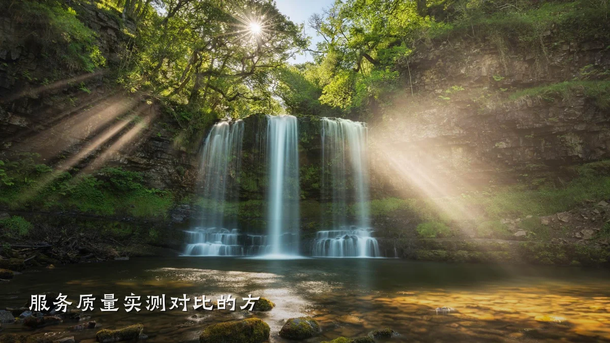 服务质量实测对比的方
