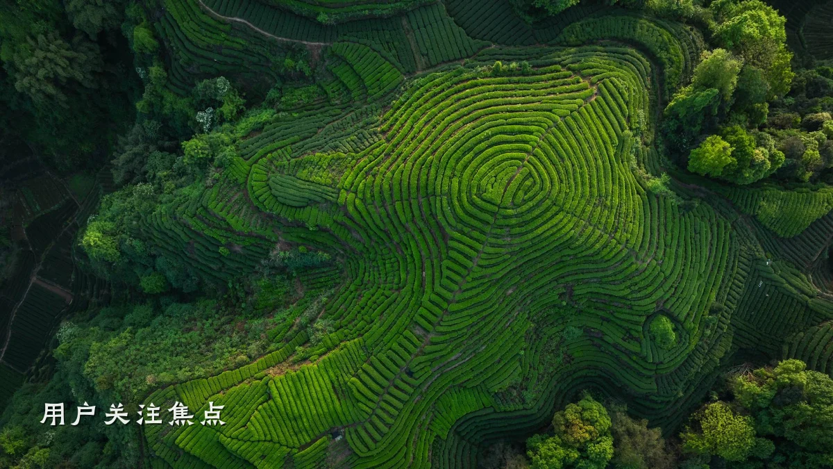 用户关注焦点
