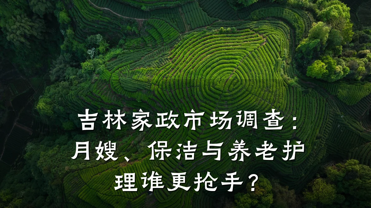 吉林家政市场调查:月嫂、保洁与养老护理谁更抢手?