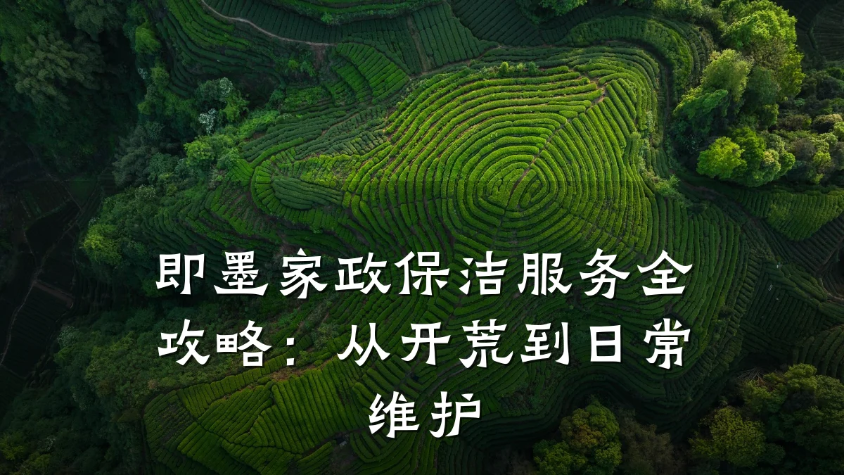 即墨家政保洁服务全攻略:从开荒到日常维护