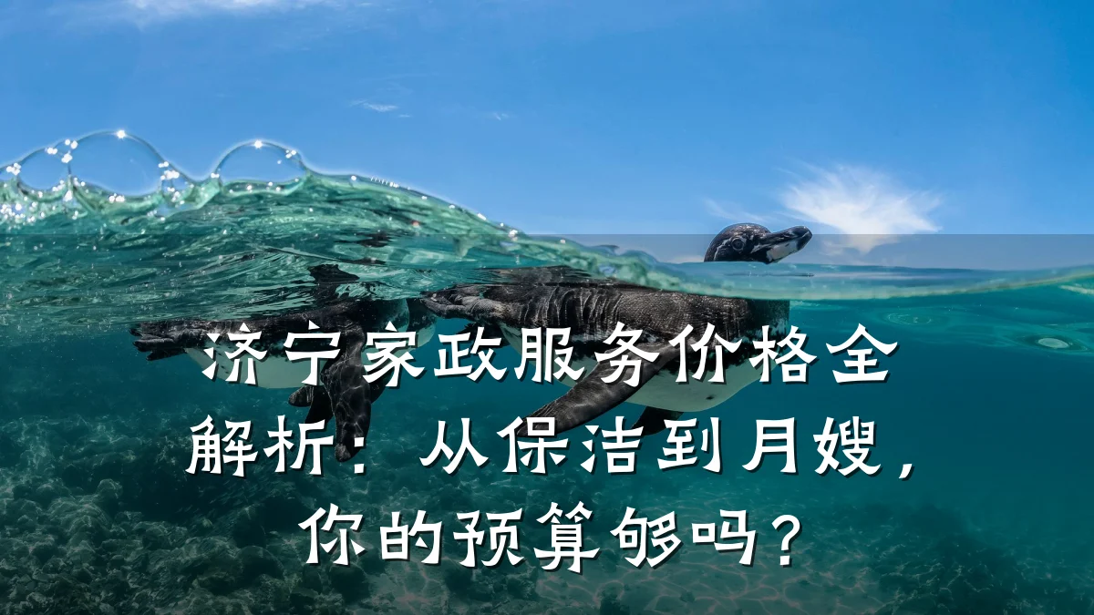 济宁家政服务价格全解析:从保洁到月嫂,你的预算够吗?