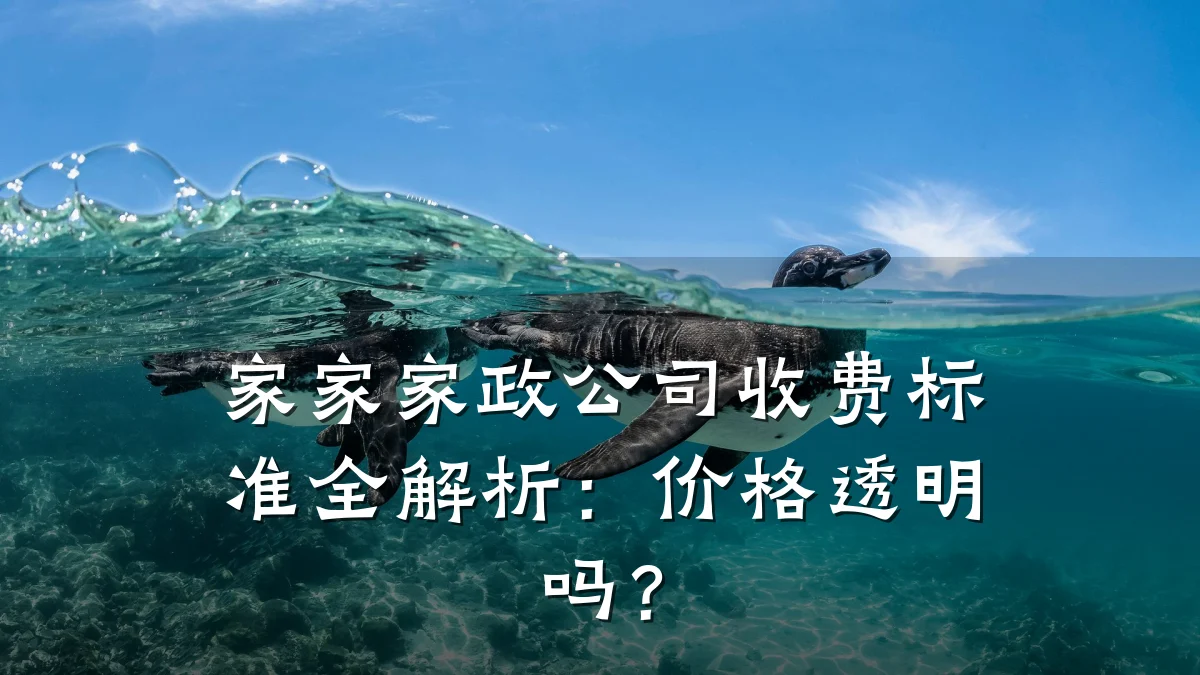家家家政公司收费标准全解析:价格透明吗?