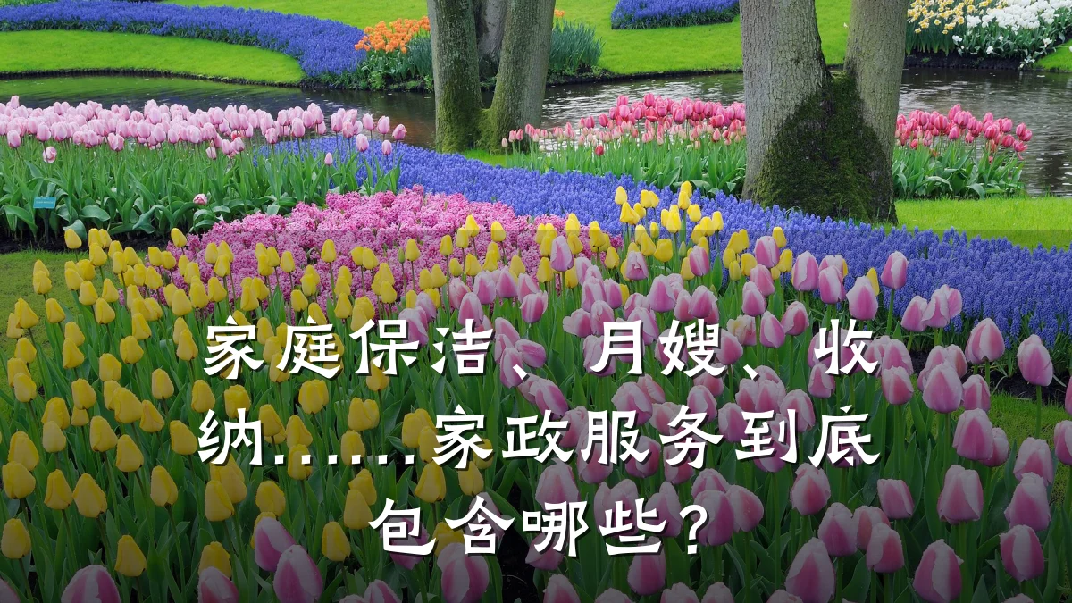 家庭保洁、月嫂、收纳……家政服务到底包含哪些?