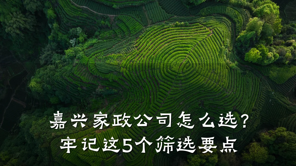 嘉兴家政公司怎么选?牢记这5个筛选要点