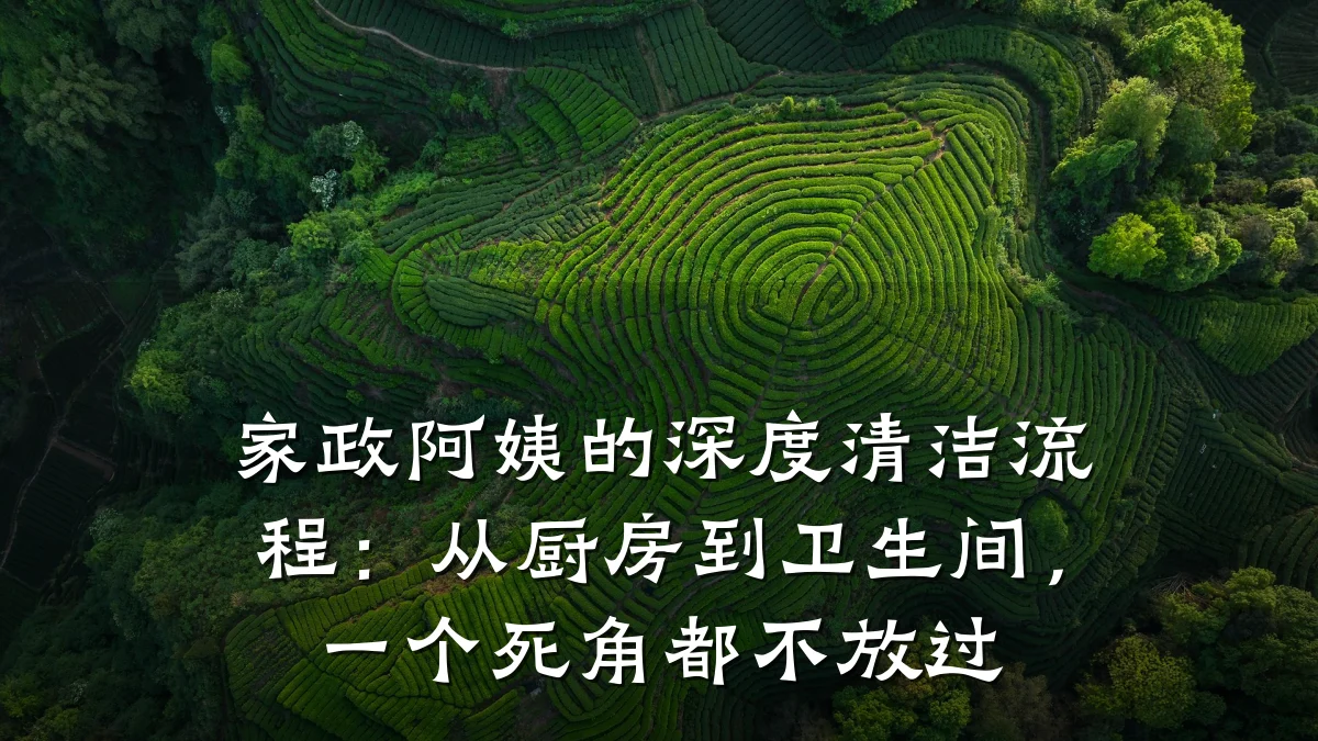 家政阿姨的深度清洁流程：从厨房到卫生间，一个死角都不放过