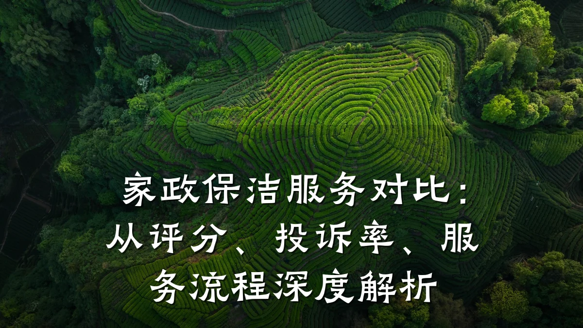 家政保洁服务对比:从评分、投诉率、服务流程深度解析