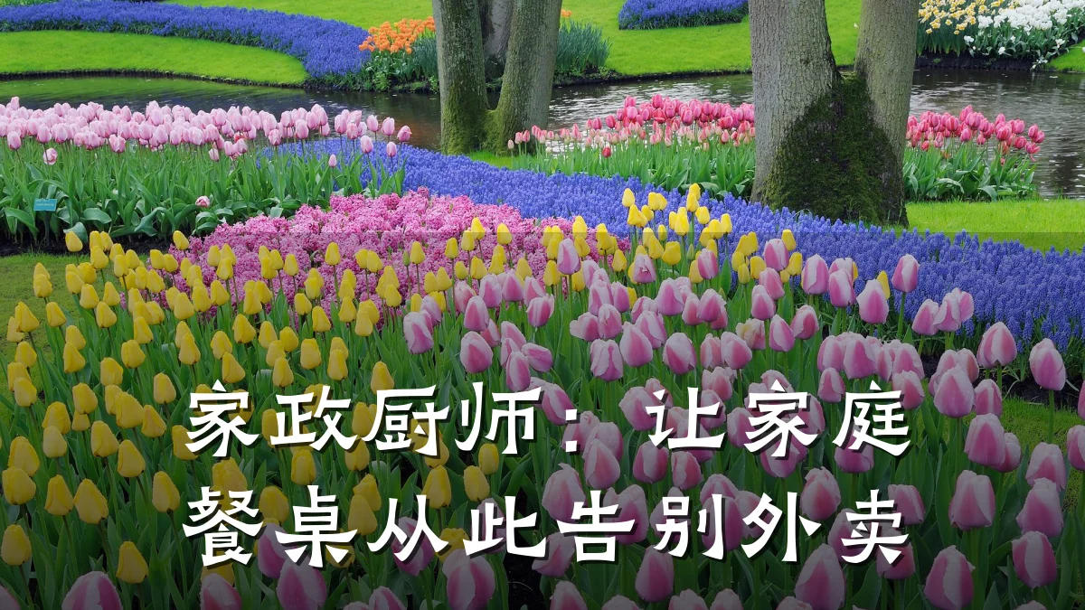 家政厨师:让家庭餐桌从此告别外卖