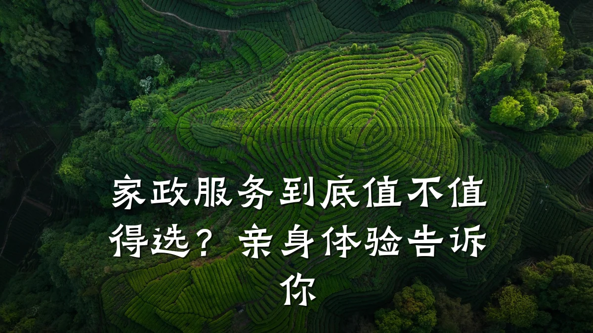 家政服务到底值不值得选?亲身体验告诉你